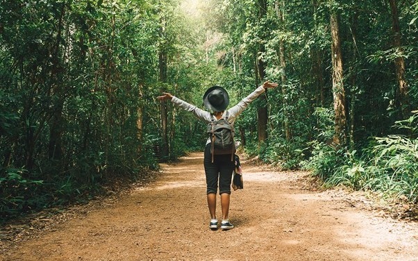 Liệu pháp chữa lành từ thiên nhiên: liệu pháp tắm rừng-forest therapy